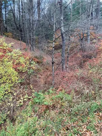 140 Plank Road Mongaup Valley NY 12762