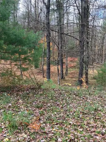 140 Plank Road Mongaup Valley NY 12762