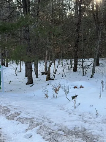 140 Plank Road Mongaup Valley NY 12762
