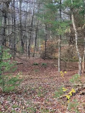 140 Plank Road Mongaup Valley NY 12762
