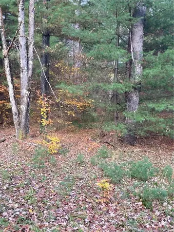 140 Plank Road Mongaup Valley NY 12762