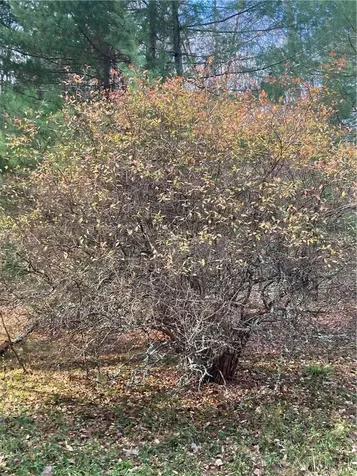 140 Plank Road Mongaup Valley NY 12762