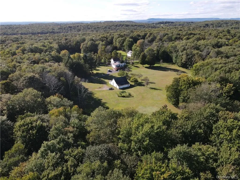 114 Levine Road Monticello NY 12701