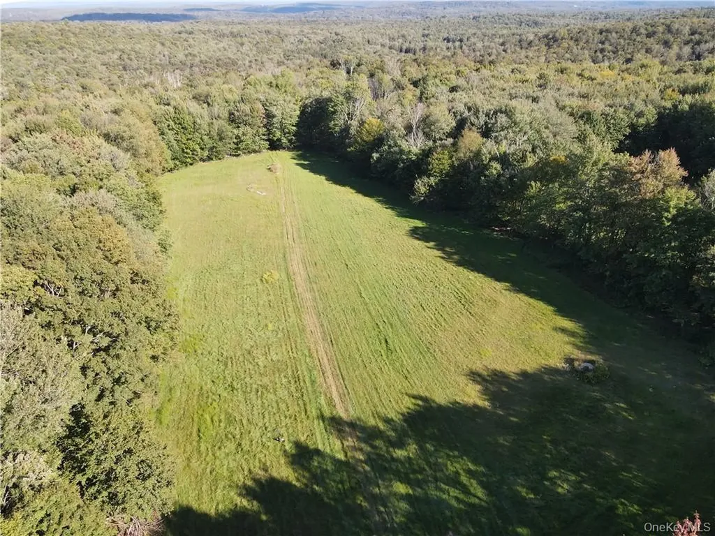 114 Levine Road Monticello NY 12701