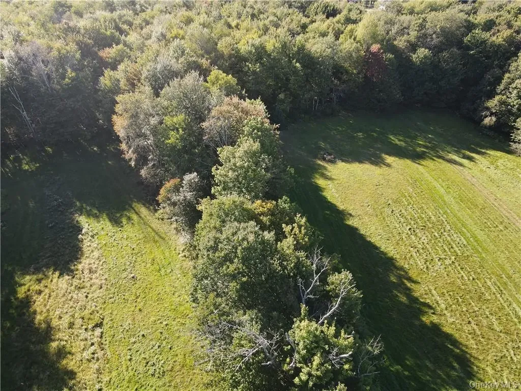 114 Levine Road Monticello NY 12701