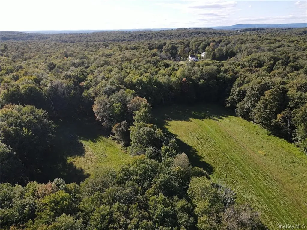 114 Levine Road Monticello NY 12701