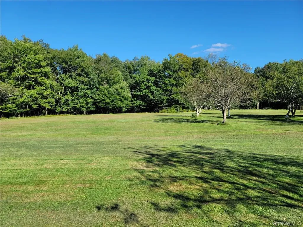 114 Levine Road Monticello NY 12701