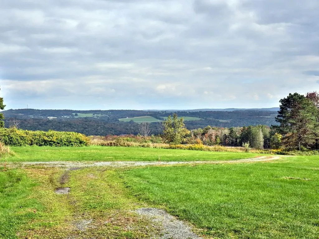 186 County Route 164 Callicoon NY 12723