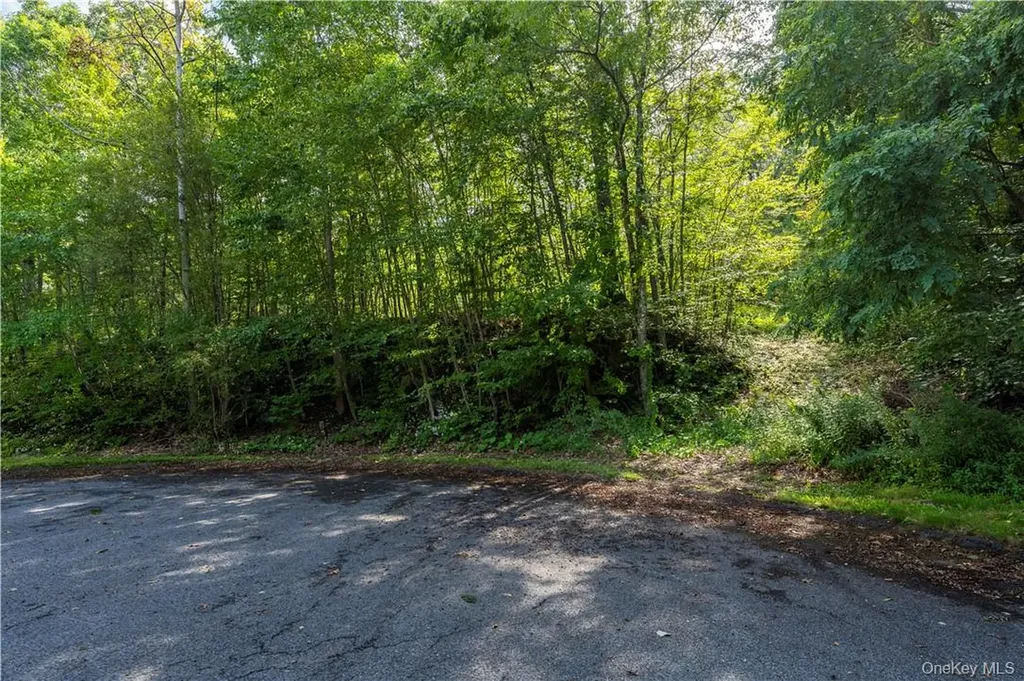 10 William Way Stormville NY 12582
