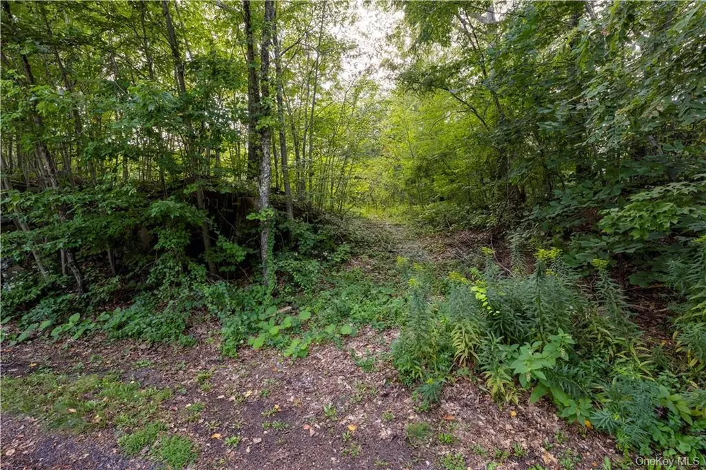 10 William Way Stormville NY 12582