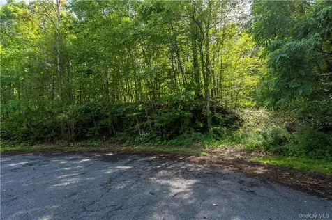 10 William Way Stormville NY 12582