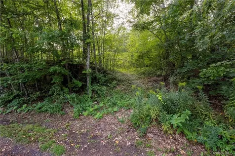 10 William Way Stormville NY 12582