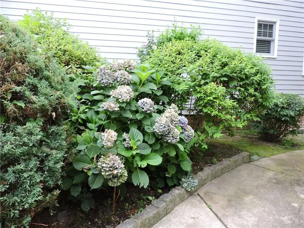 237 S 5th Avenue Mount Vernon NY 10550