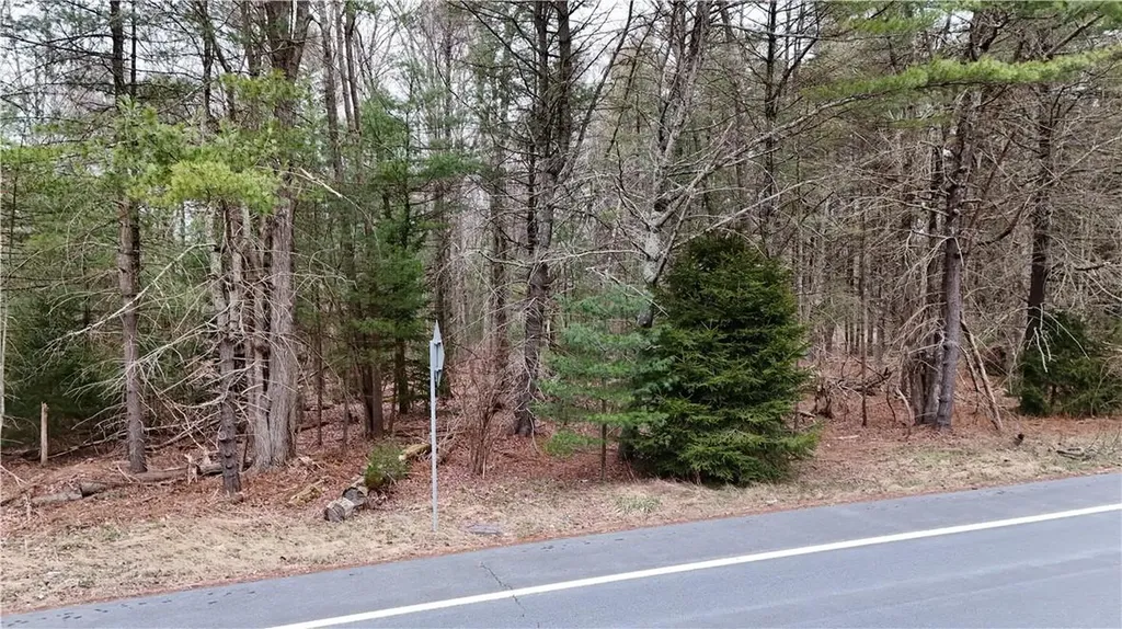 Route-42 Forestburgh NY 12777