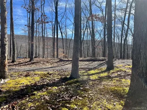 2215 Greenville Turnpike Port Jervis NY 12771
