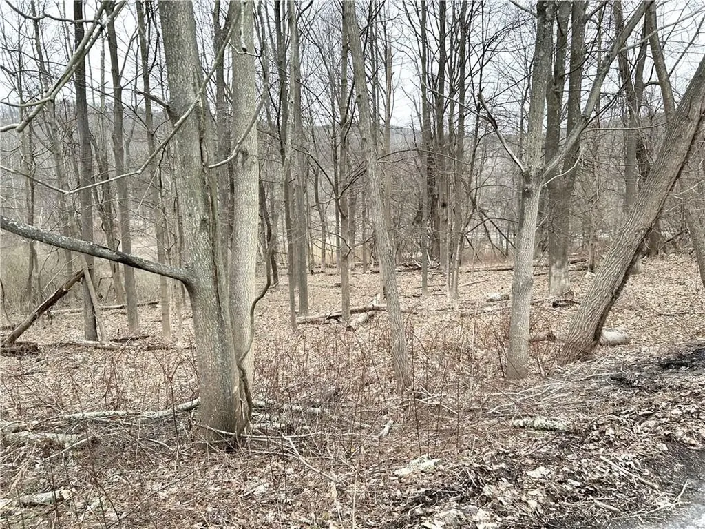 Stoneleigh Avenue Carmel NY 10512