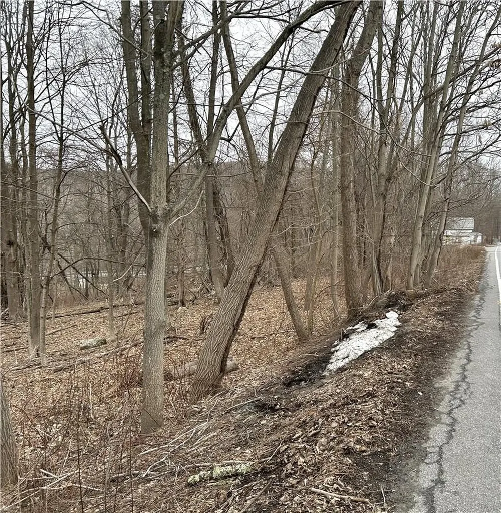 Stoneleigh Avenue Carmel NY 10512