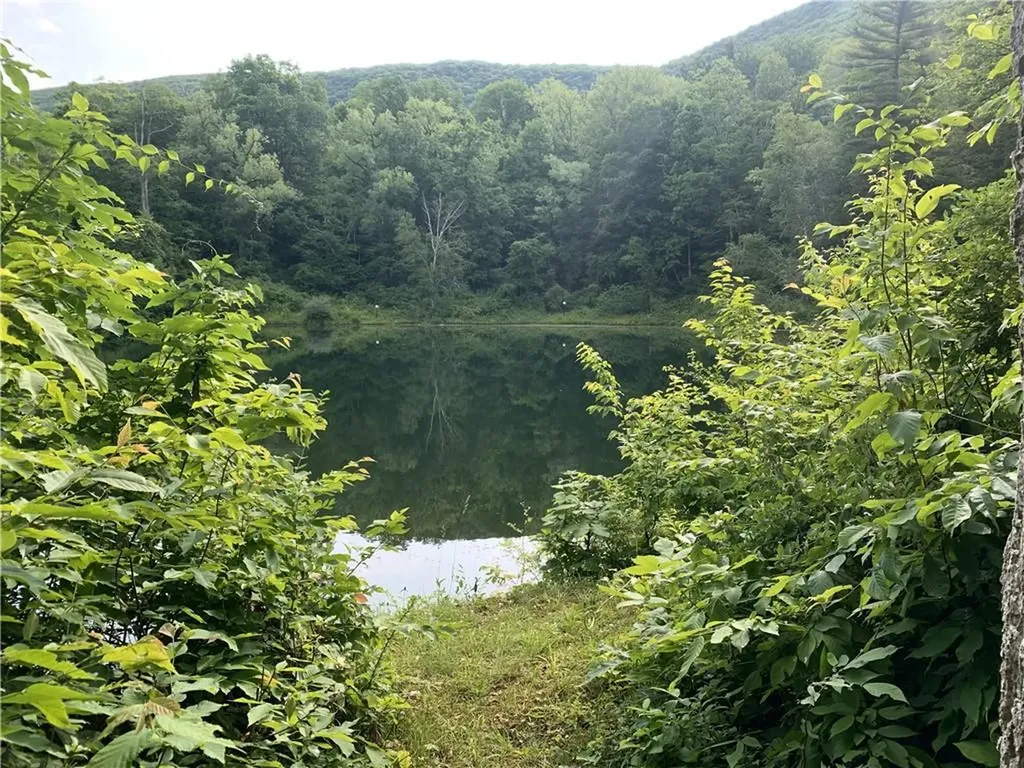 Quarry Hill Drive Millerton NY 12546