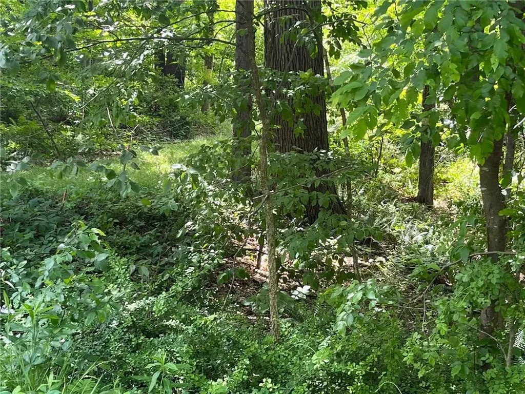 Quarry Hill Drive Millerton NY 12546