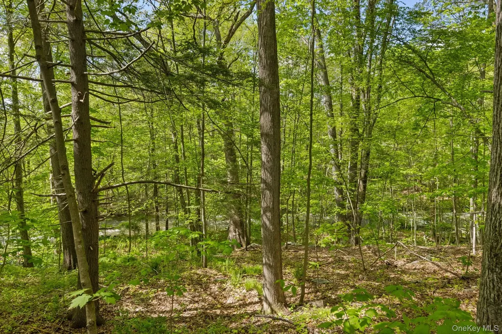 2802 Morgan Drive Carmel NY 10512