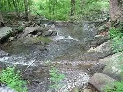 6 Thompson Drive Staatsburg NY 12580