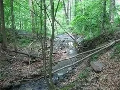6 Thompson Drive Staatsburg NY 12580