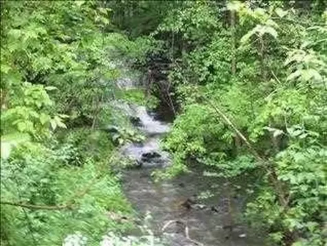 6 Thompson Drive Staatsburg NY 12580
