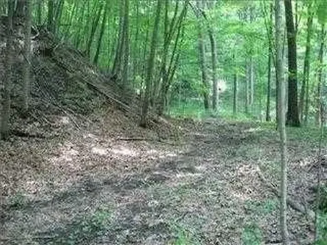 6 Thompson Drive Staatsburg NY 12580