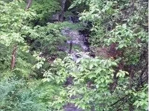 6 Thompson Drive Staatsburg NY 12580