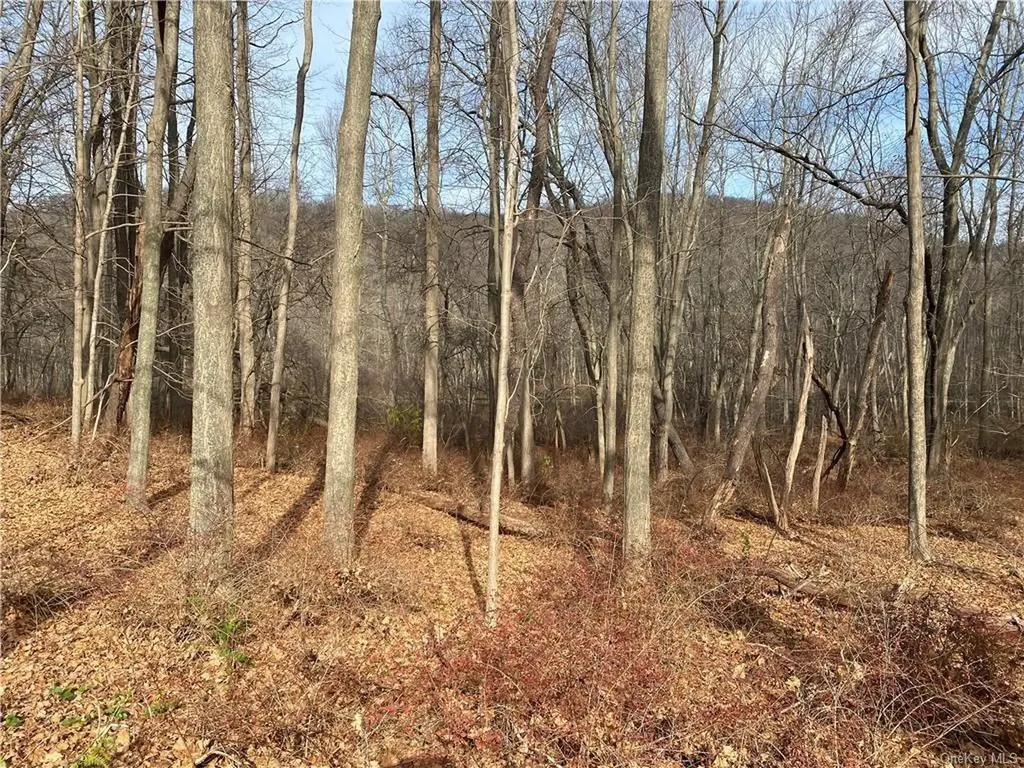 3918 Danbury Road Brewster NY 10509