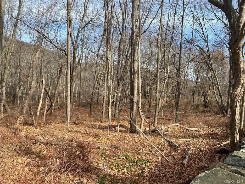 3918 Danbury Road Brewster NY 10509