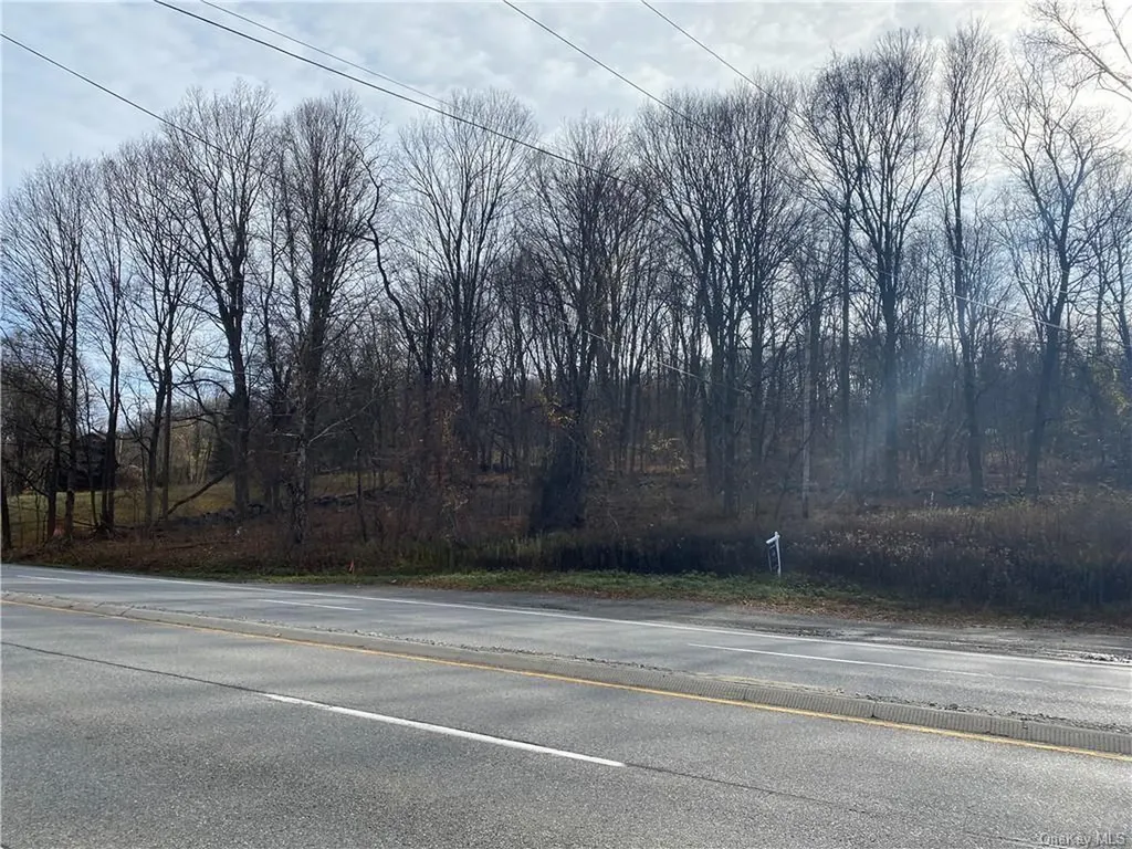 3918 Danbury Road Brewster NY 10509
