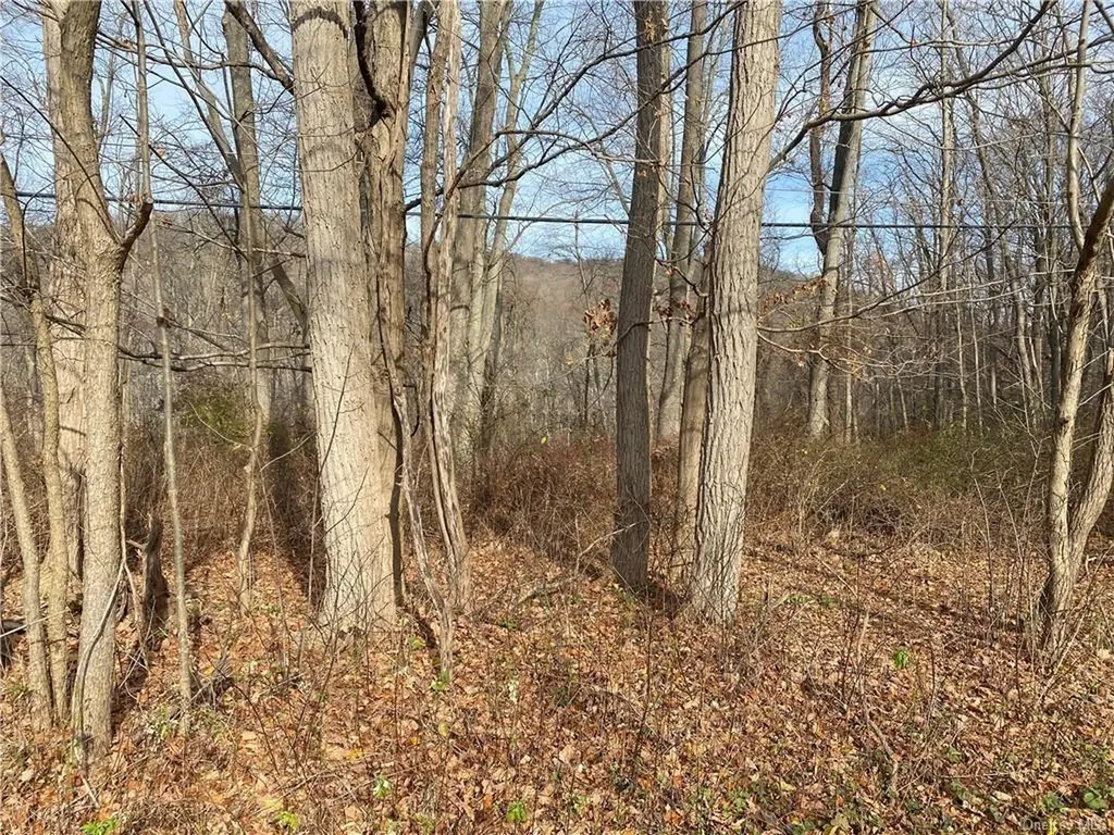 3918 Danbury Road Brewster NY 10509
