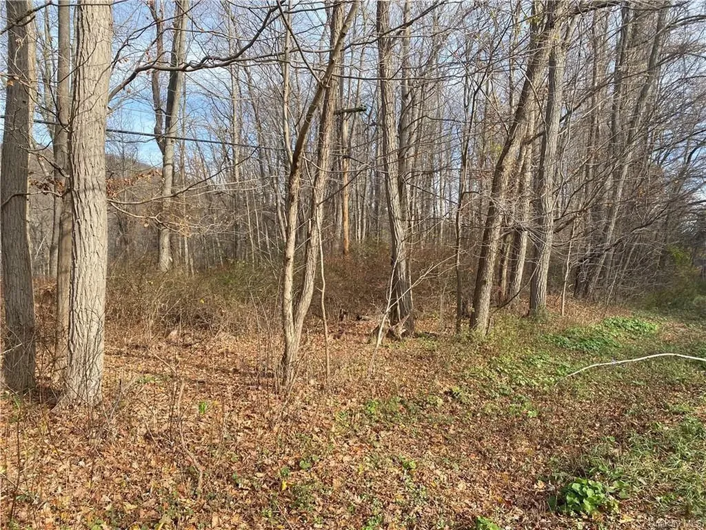 3918 Danbury Road Brewster NY 10509