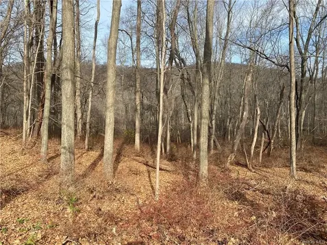 3918 Danbury Road Brewster NY 10509