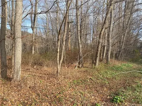 3918 Danbury Road Brewster NY 10509