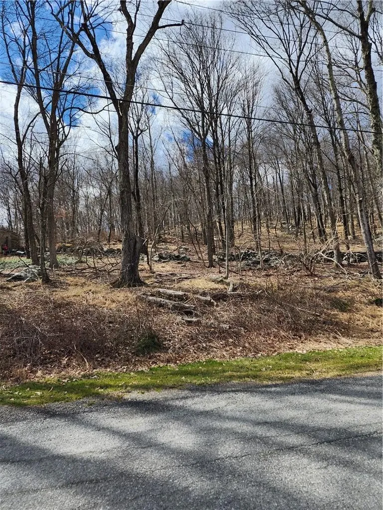 Ponderosa Road Carmel NY 10512