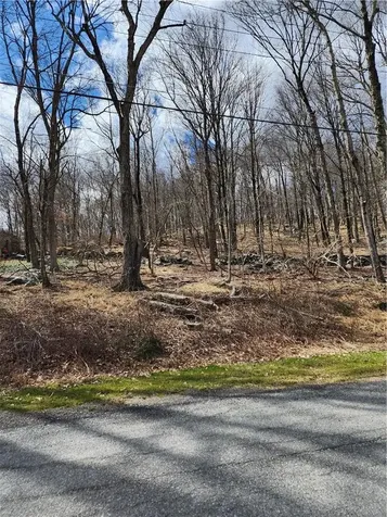 Ponderosa Road Carmel NY 10512