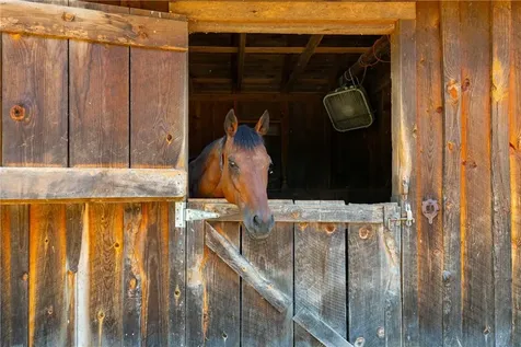 4 Browning Road Hyde Park NY 12538