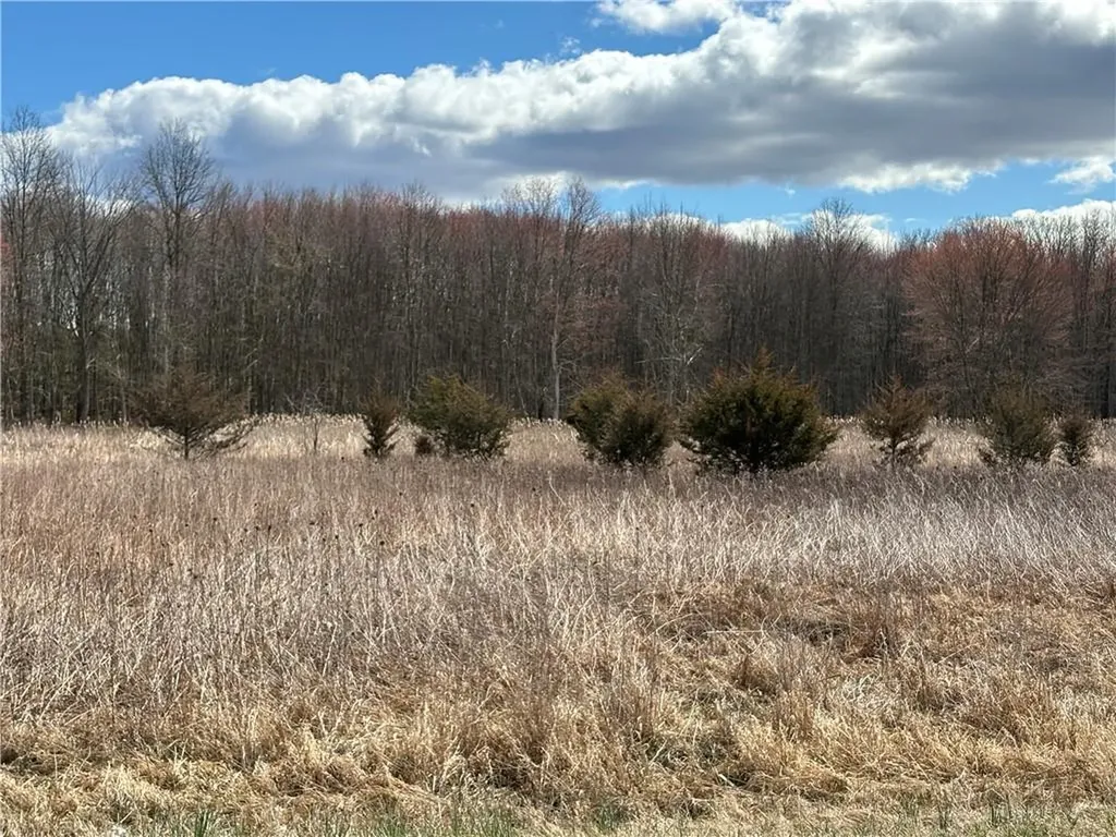 Drexel Drive Pine Bush NY 12566