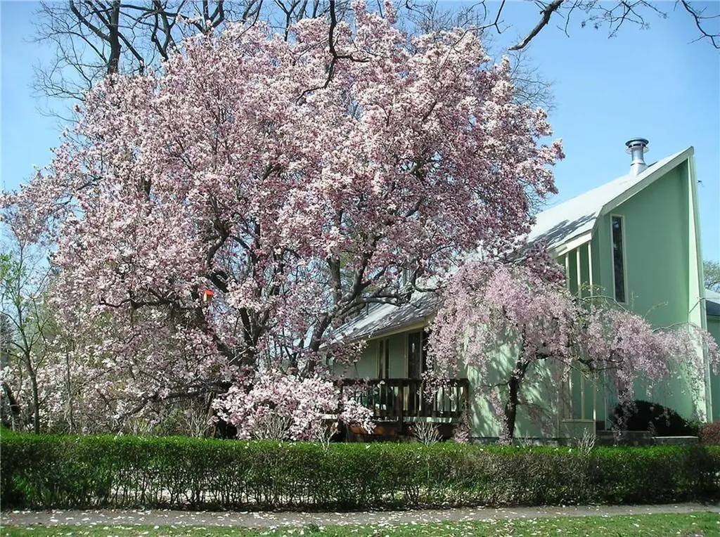 37 Thompson Avenue White Plains NY 10603