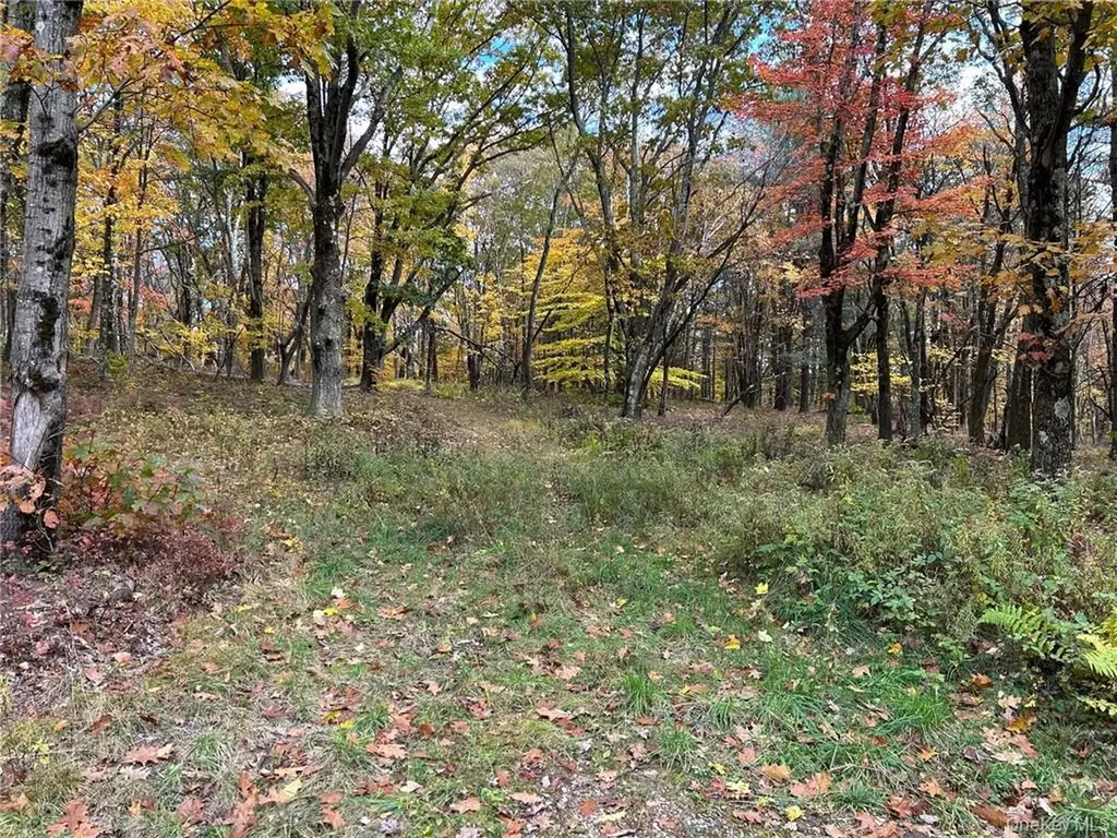 1 West Hill Road Austerlitz NY 12017