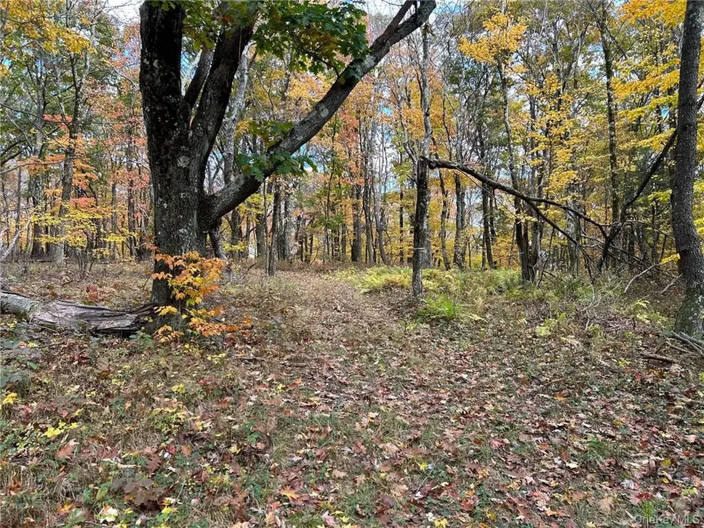 1 West Hill Road Austerlitz NY 12017