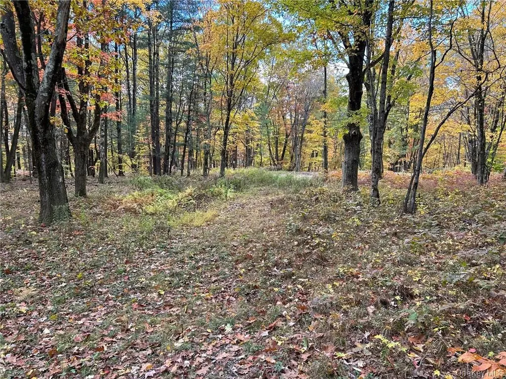 1 West Hill Road Austerlitz NY 12017