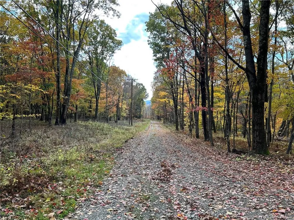 1 West Hill Road Austerlitz NY 12017