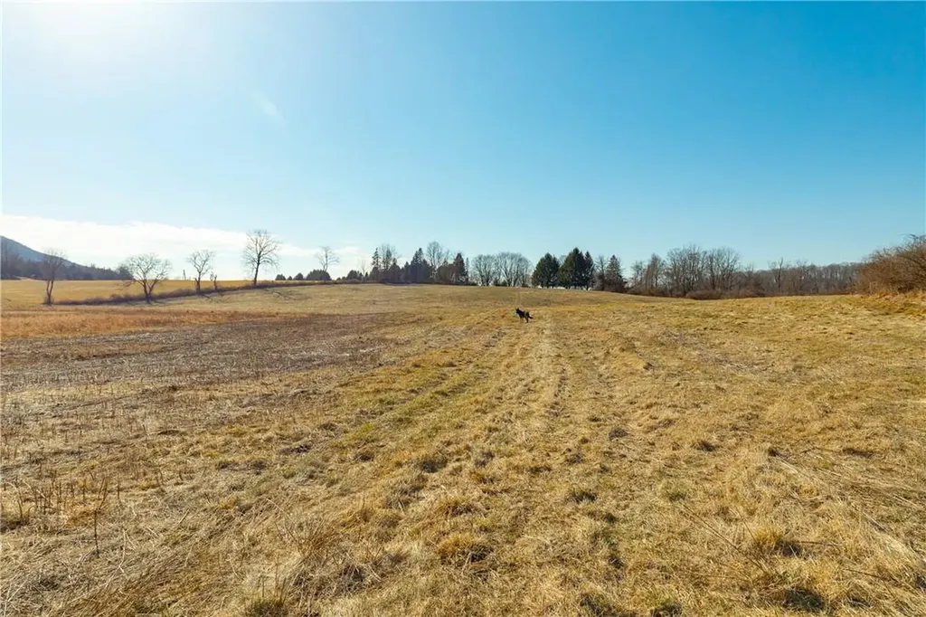 460 Sinpatch Road Wassaic NY 12592