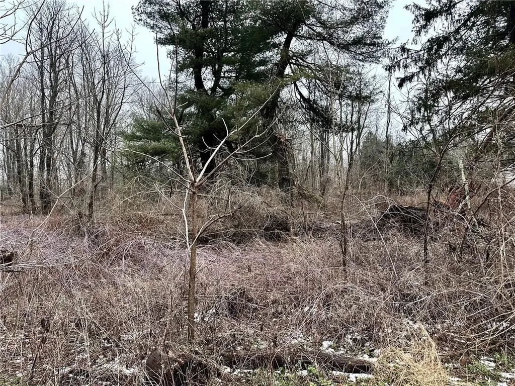 194 Davis Road Salt Point NY 12578