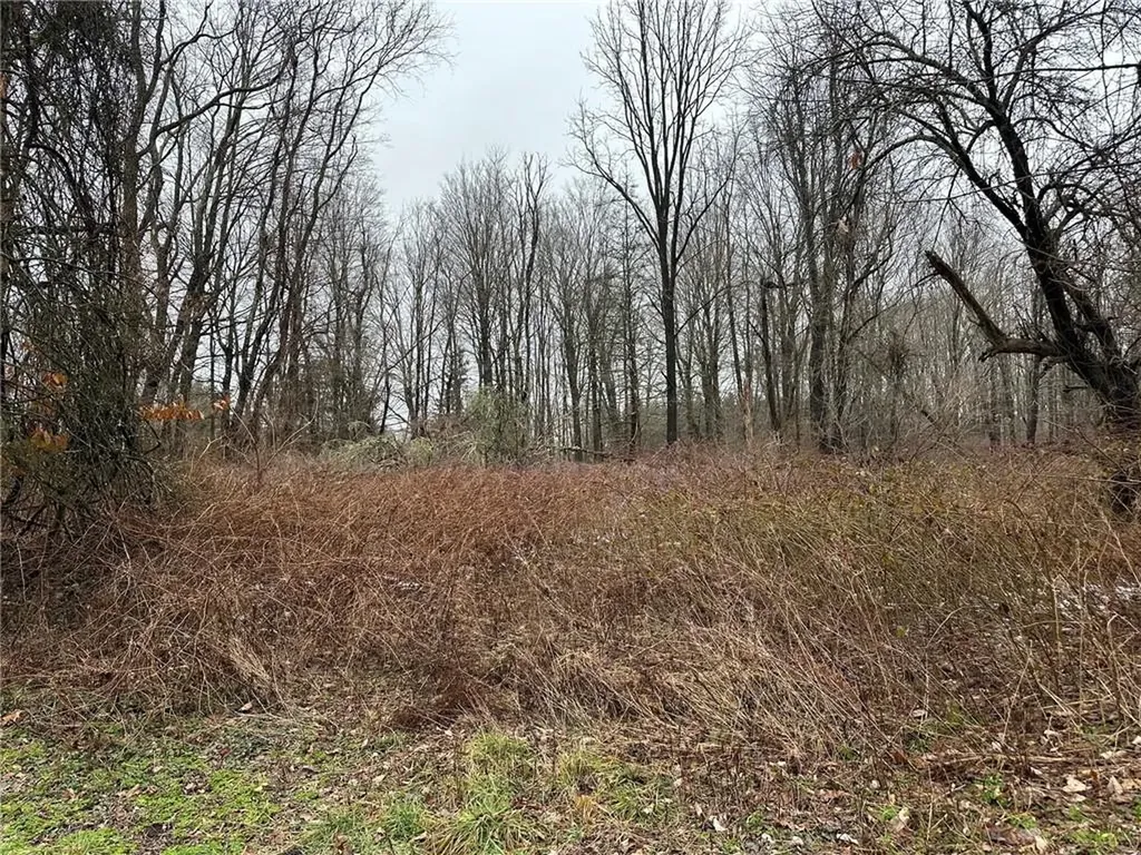 194 Davis Road Salt Point NY 12578