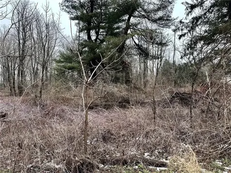194 Davis Road Salt Point NY 12578