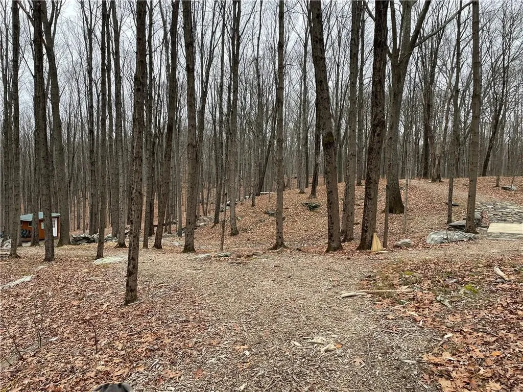 12 Denton Lake Road Holmes NY 12531